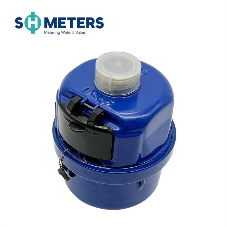 DN40 Volumetric Rotary Piston Water Meters